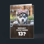 13th Birthday Cute and Funny Surprised Husky Card<br><div class="desc">This lovely card features a cute little husky with a surprised expression,  adding a playful charm. It can be customized for any age,  with this design created especially for a 13th birthday.</div>