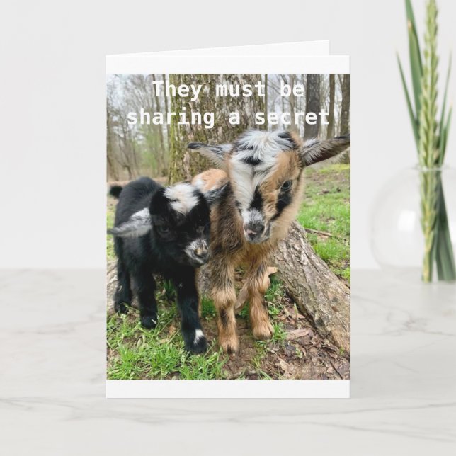 **13th BIRTHDAY** GOATS SHARE A SECRET ABOUT IT Card (Front)