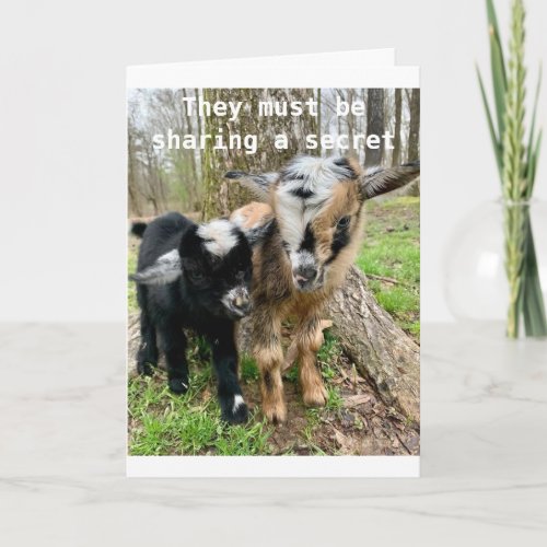 13th BIRTHDAY GOATS SHARE A SECRET ABOUT IT Card