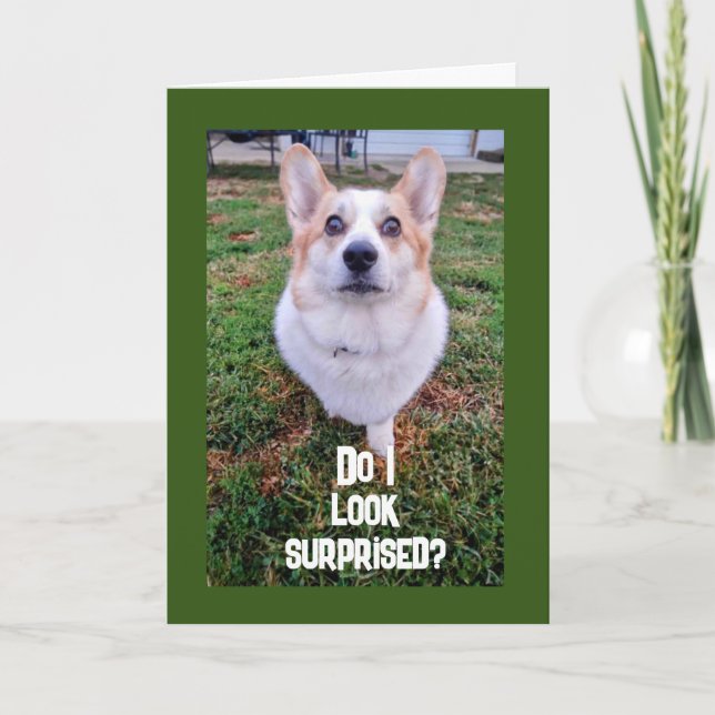 **13th BIRTHDAY** HOW DID THAT HAPPEN???? Card (Front)