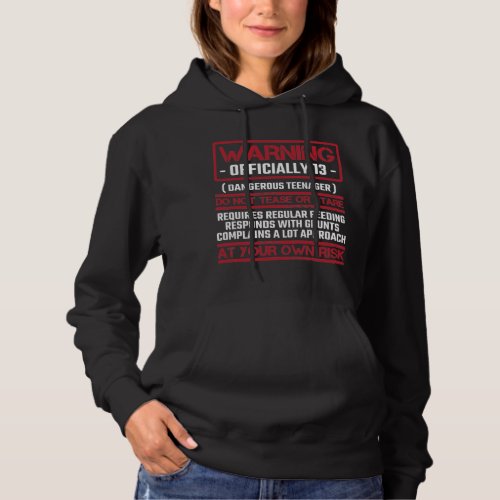 13th Birthday Officially Teenager 13 Year Old Kid Hoodie