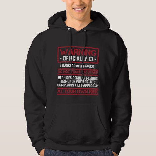 13th Birthday Officially Teenager 13 Year Old Kid Hoodie