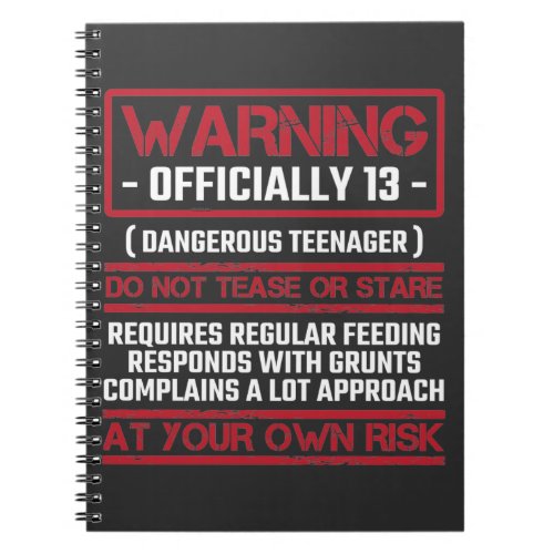 13th Birthday Officially Teenager 13 Year Old Kid Notebook