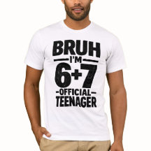 13th Birthday Shirt Funny Meme 6 7 Birthday 13 