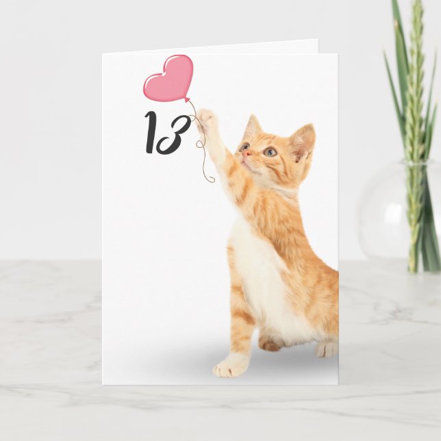 13th birthday tabby cat card (Front)