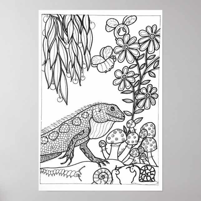 13x19 coloring poster with lizard (Front)