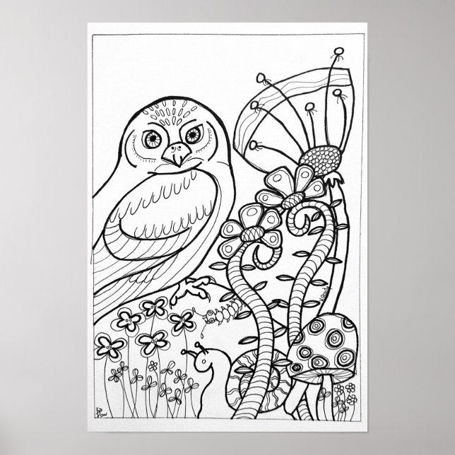 13x19 coloring poster with owl (Front)