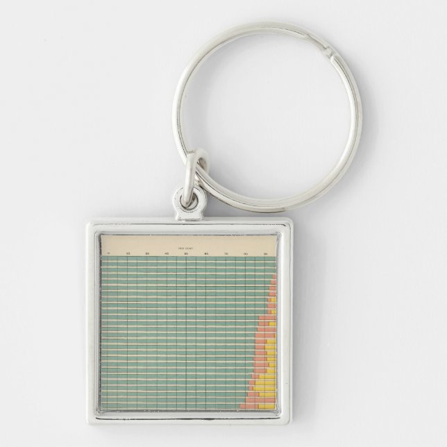 143 Farm area by tenure Keychain (Front)