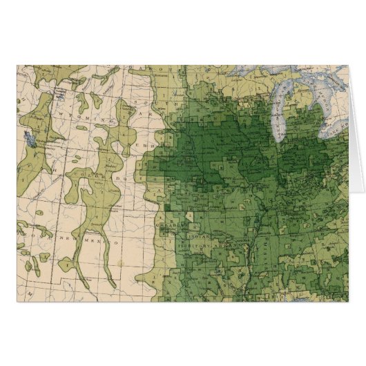 146 Swine/sq mile (Front Horizontal)