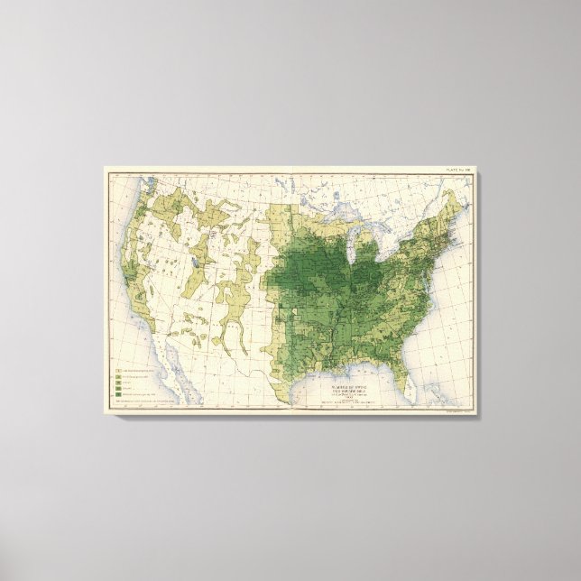 146 Swine/sq mile Canvas Print (Front)