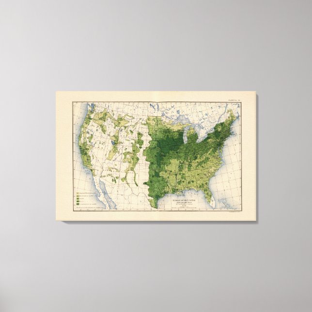 147 Neat cattle/sq mile Canvas Print (Front)