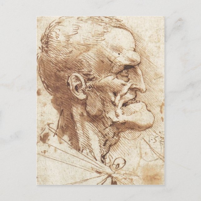 1487 1490 ) is a drawing by Leonardo da Vinci Sour Postcard (Front)