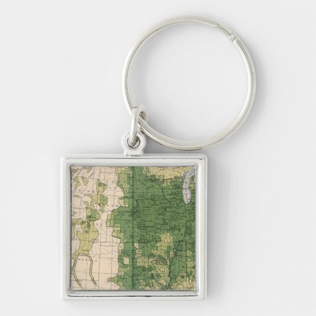 149 Horses, mules, asses/sq mile Keychain (Front)