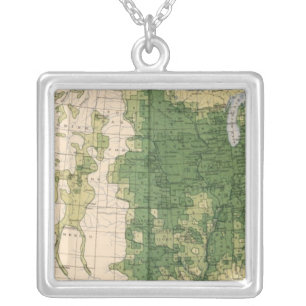 149 Horses, mules, asses/sq mile Silver Plated Necklace
