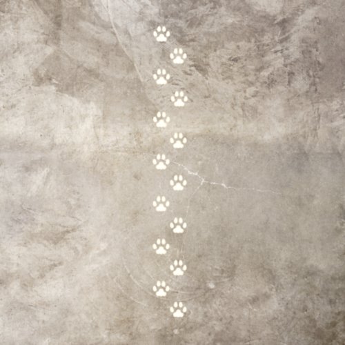 14 Ivory Cat Paw Prints Animal Tracks Floor Decals