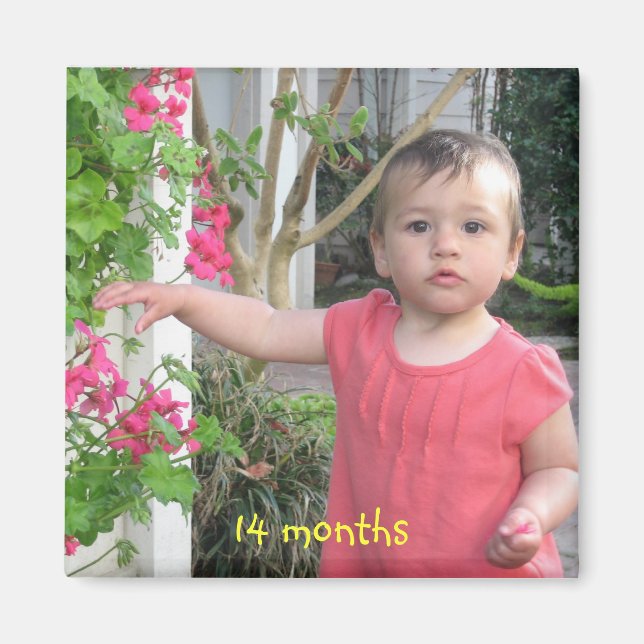 14 months, 14 months magnet (Front)