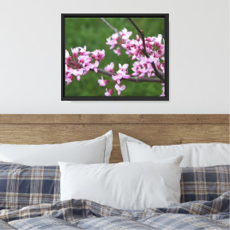 14"x11" Redbud Canvas Print