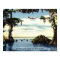 14 x 11 Diving Scene, Cypress Florida
