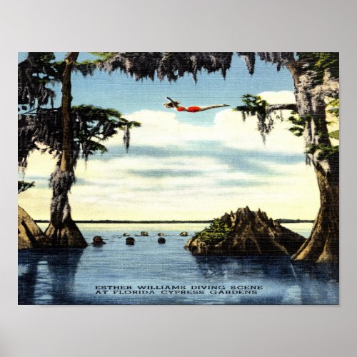 14 x 11 Diving Scene Cypress Florida Poster