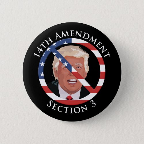 14th Amendment Anti_Trump Button