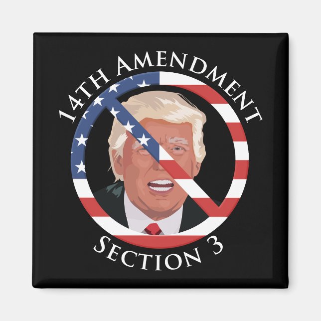 14th Amendment Anti-Trump Magnet (Front)