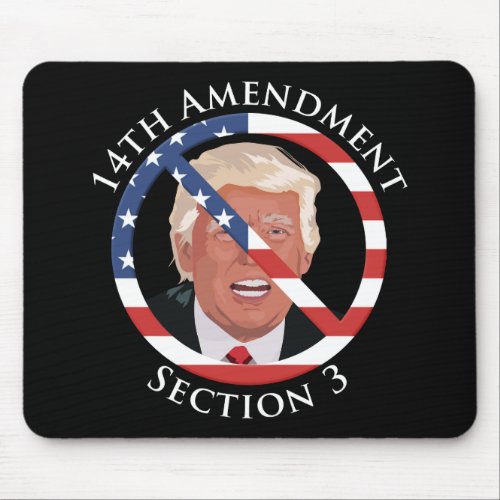 14th Amendment Anti_Trump Mouse Pad