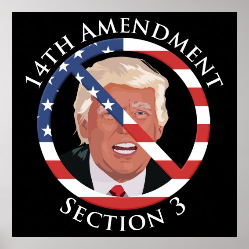 14th Amendment Anti_Trump Poster