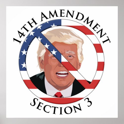 14th Amendment Anti_Trump Poster
