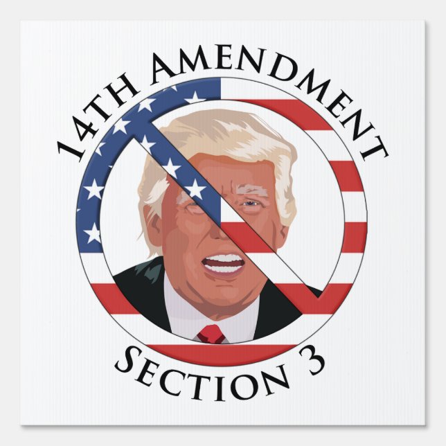 14th Amendment Anti-Trump Sign (Front)