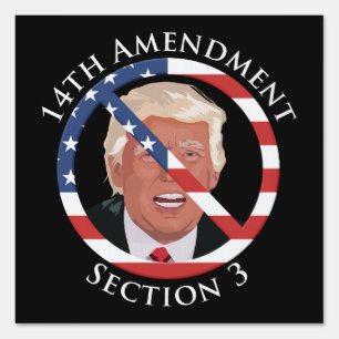 14th Amendment Anti-Trump Sign