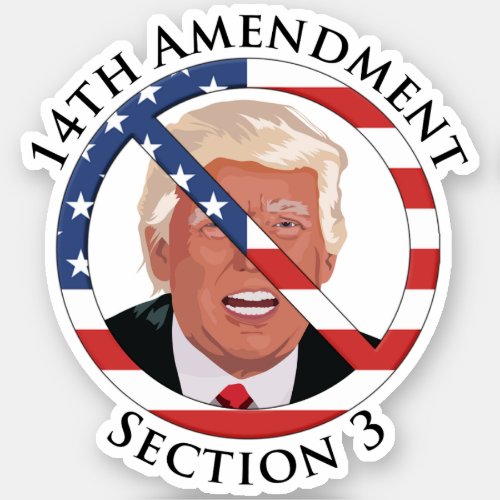 14th Amendment Anti_Trump Sticker