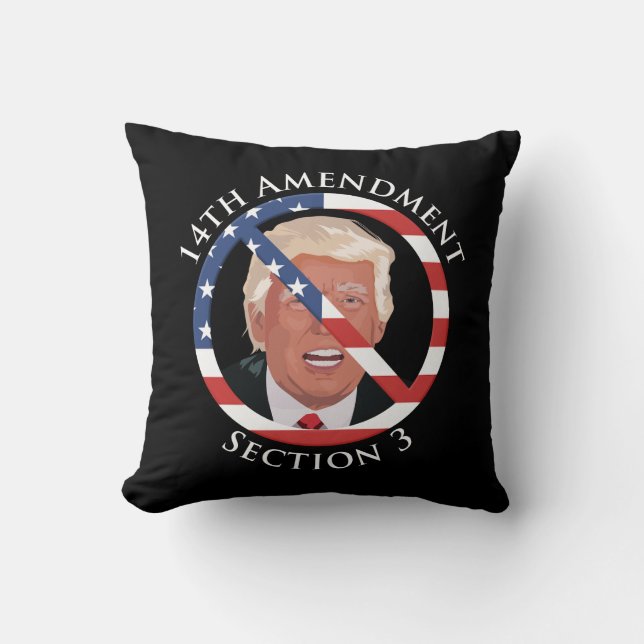 14th Amendment Anti-Trump Throw Pillow (Front)