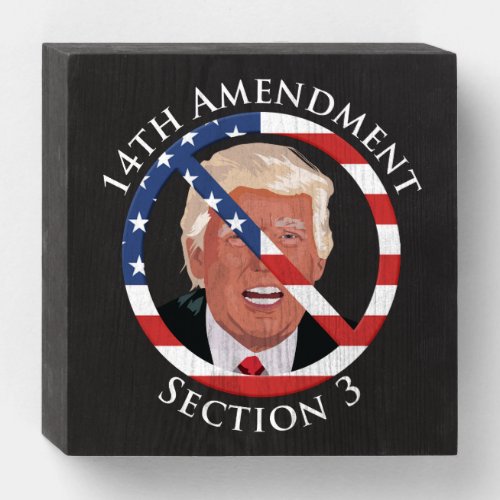 14th Amendment Anti_Trump Wooden Box Sign