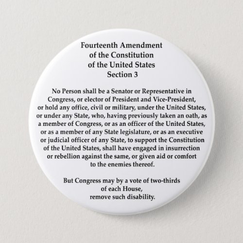 14th Amendment Section 3 Button