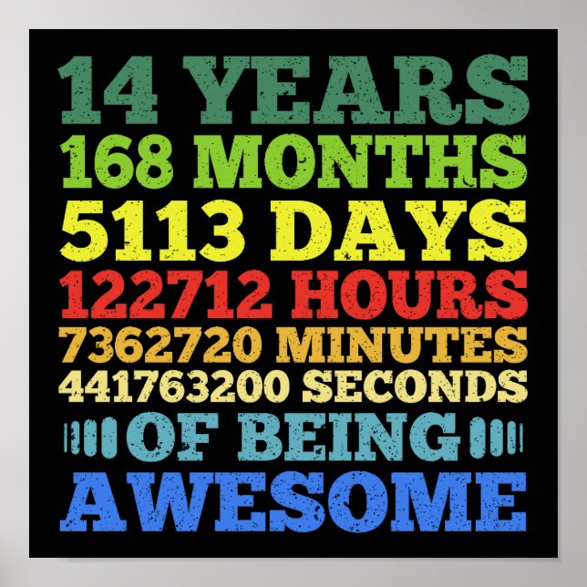 14th Birthday 14 Years Old Vintage 168 Months Poster (Front)