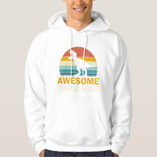 14th Birthday Dinosaur 14 Year Old Boy Awesome Sin Hoodie