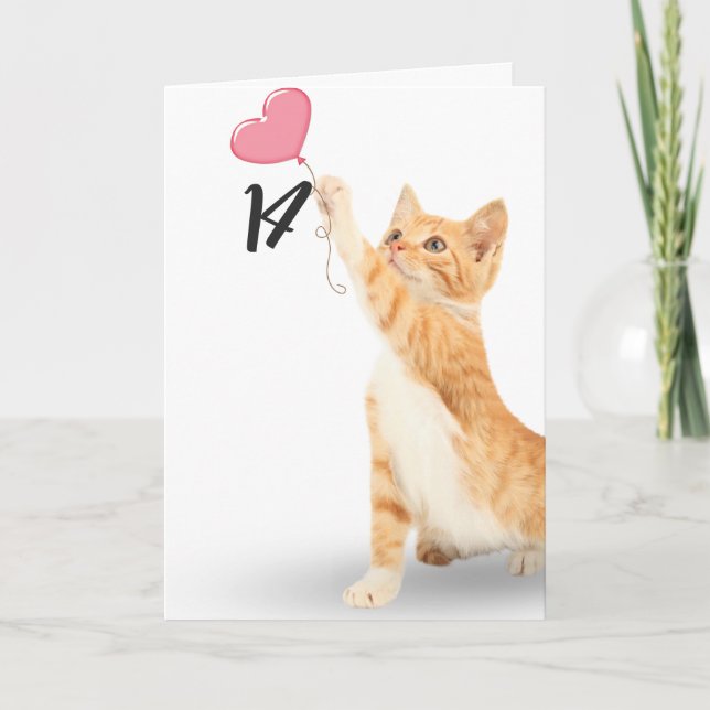 14th birthday tabby cat card (Front)