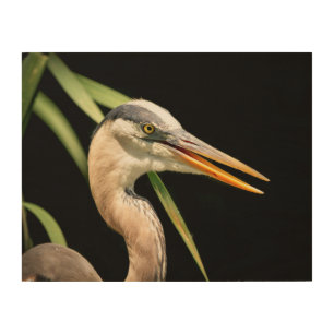 14x11 Great Blue Heron Wood Wall Decor