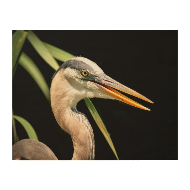 14x11 Great Blue Heron Wood Wall Decor (Front)