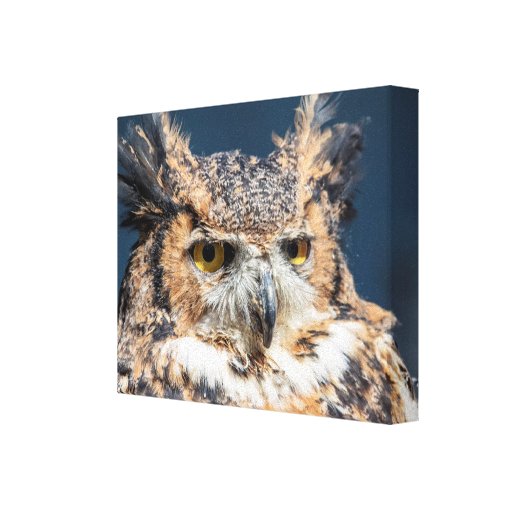 14x11 Great Horned Owl Portrait Canvas Print | Zazzle