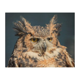 14x11 Great Horned Owl Portrait Wood Wall Decor