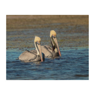 14x11 Pair of Pelicans Wood Wall Decor