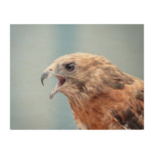 14x11Red Shouldered Hawk Wood Wall Decor