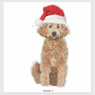 14x14 Christmas cut sticker of golden doodle