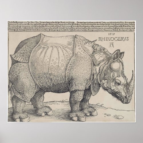 1515 DURERs RHINOCERUS Poster