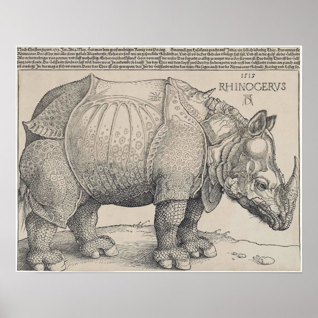 1515 DURER's RHINOCERUS Poster (Front)