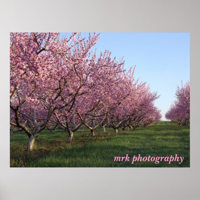 158, mrk photography poster (Front)
