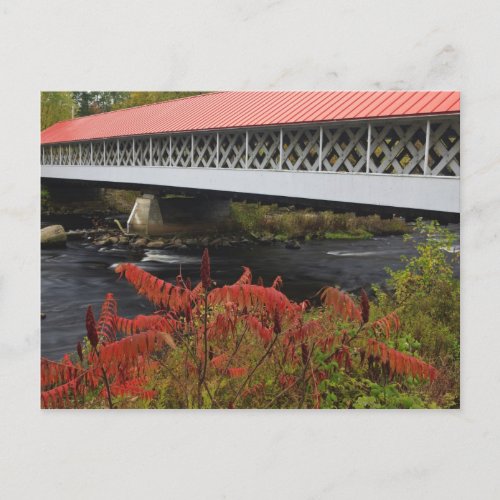 159_foot Ashuelot Covered bridge spanning Postcard