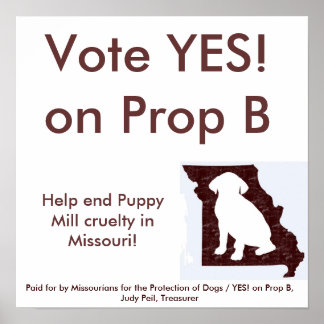 15" by 15" - YES! on Prop B Poster