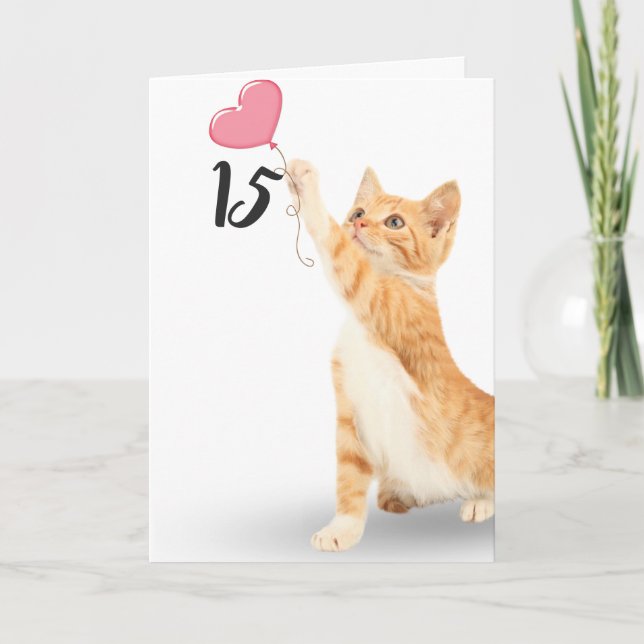 15th birthday tabby cat card (Front)